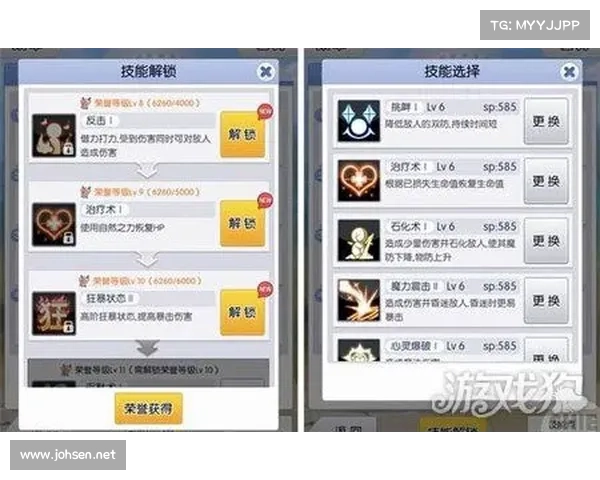 地下城刺客职业装备选择与搭配技巧全解析